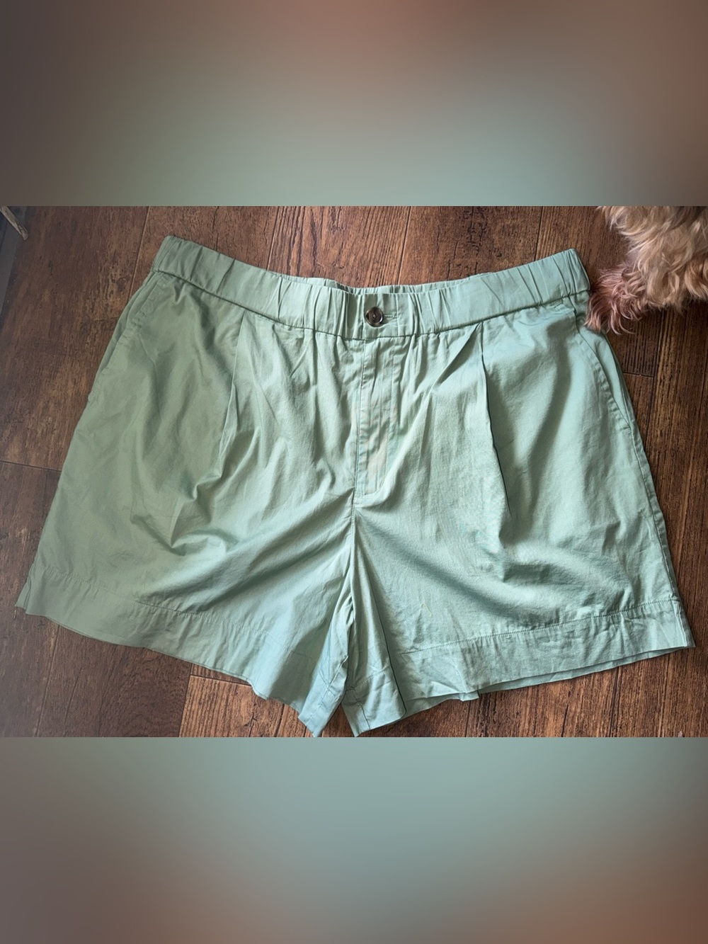 A New Day Sage Cotton Shorts
